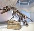 His Highness Sheikh Khaled bin Mohamed bin Zayed Al Nahyan inaugurates Natural History Museum UAE