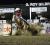 North Dakota Summer Comes Alive with Rodeos, Racing and Prairie Adventure