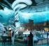 Miral Announces the Opening of SeaWorld® Abu Dhabi in 2023