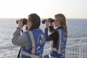 Travel agents reveal how geopolitical tensions are reshaping this year’s ‘Great British Getaway’