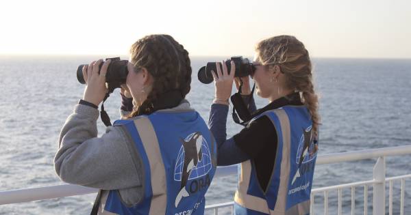 Travel agents reveal how geopolitical tensions are reshaping this year’s ‘Great British Getaway’
