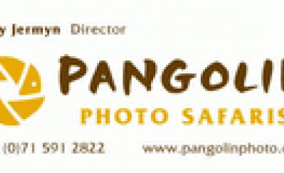 Pangolin - Africa’s first permanent photo safari operator