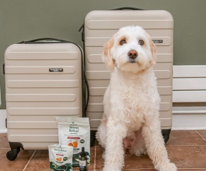 Pet Releaf Shares Insights as Pet Owners Prepare For Summer
