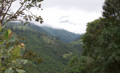 The Chocó Andino: a paradise for ecotourism in Quito