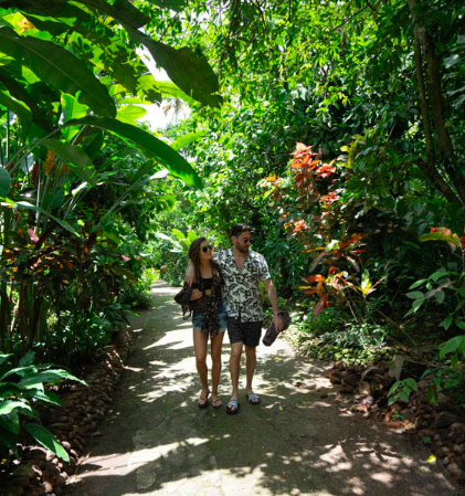 HEALTH & WELLNESS IN SAINT LUCIA | News | Breaking Travel News