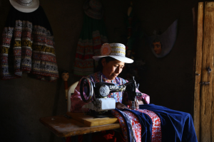 Paddington’s Return to Peru Highlights the Country’s Incredible Cultural and Natural Beauty