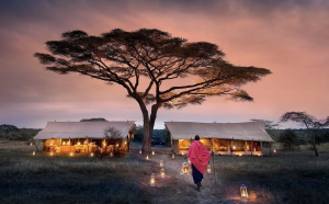 Tanzania Tourism: A Jewel of East Africa
