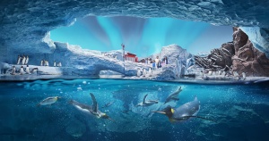 SeaWorld® Yas Island, Abu Dhabi Unveils its Remaining Four Realms