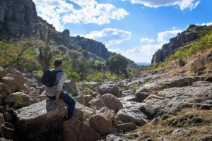 Guanajuato Spotlights “La Senda del Arriero” at FITUR: An Immersive Journey into Mexico’s History