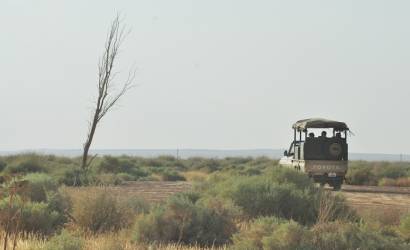 Shaumari Wildlife Reserve reopens in Jordan