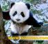 Sichuan Tourism welcomes your participation