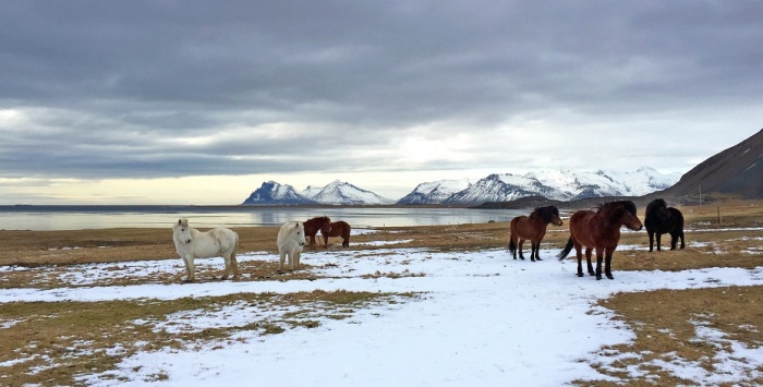 Six Senses Hotels unveils Iceland property