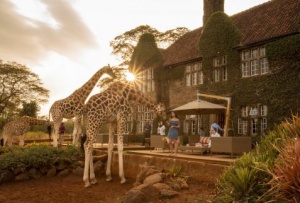 ONCE IN A LIFETIME’ AFRICAN SAFARI