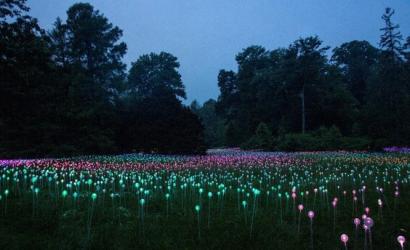 Bruce Munro to debut “Field of Light” public artwork on Manhattan’s East Side
