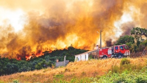 Portugal Ravaged By Wildfires