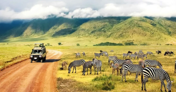 Tanzania — World’s Leading Safari Destination 2025