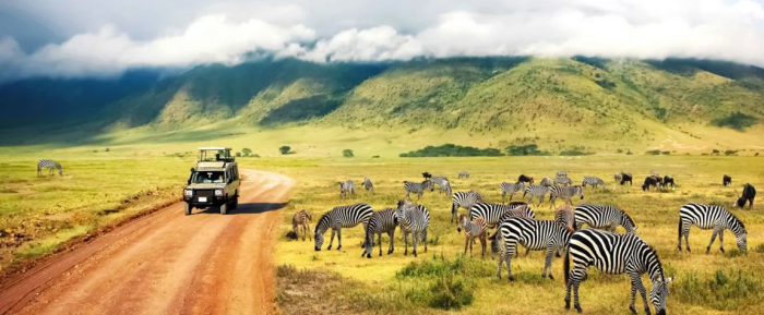 Tanzania — World’s Leading Safari Destination 2025