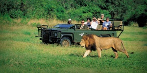 New report shows how Travel & Tourism in Africa could boost continent’s economy by US$168BN