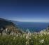 Madeira welcomes UK green list inclusion