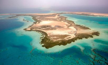 Red Sea Project marine planning wins praise
