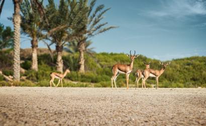 Take a walk on the wild side: Saadiyat Island Abu Dhabi marks World Wildlife Day