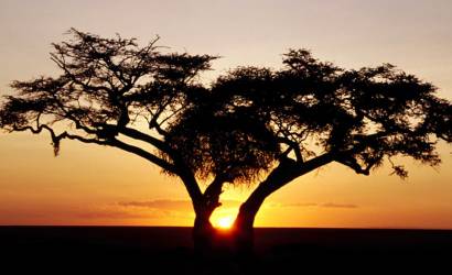 Wilderness Safaris to bring Linkwasha Camp to Zimbabwe in 2015