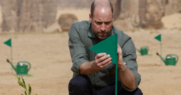 Sowing AlUla’s Green Future: 1 Million Native Plants Initiative to Transform AlUla