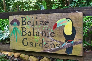 Exploring Nature’s Tapestry: The Enchantment of Belize Botanic Gardens