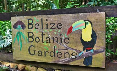 Exploring Nature’s Tapestry: The Enchantment of Belize Botanic Gardens
