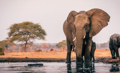 The Botswana Tourism Investment Summit aims to spotlight the country as an economic tiger
