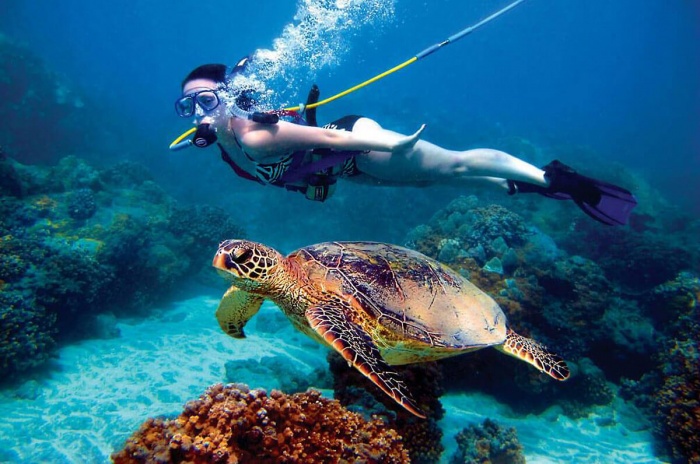 breakingtravelnews.com - British Virgin Islands Aquatic Experience Receives Prestigious 2026 International Telly Award
