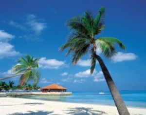 New Caribbean tourism website