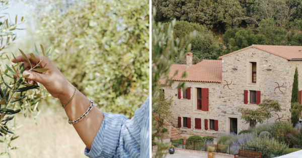 Come and Connect with the Rhythm of the Land: Querubi Launches Inaugural Harvest Retreat