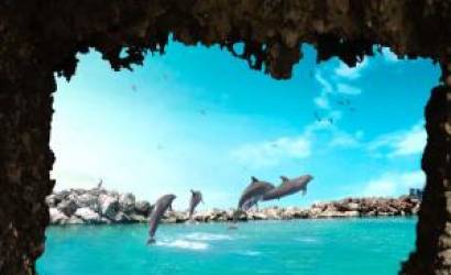 Dolphin Cove has been awarded in several categories of the World Travel Awards for 10 years.