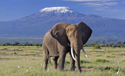 Tanzania’s Mount Kilimanjaro National Park Voted Africa’s Leading Tourist Attraction