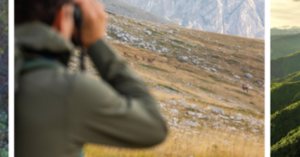 The European Nature Trust Launches 2027 Coexistence Adventures Spotlighting Europe’s Great Wildlife