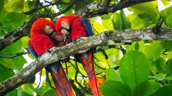 The Ultimate Travel Checklist for Planning Costa Rica Holidays