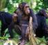Landmark Census Confirms 426 Chimpanzees in Uganda’s Bwindi