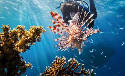 Responsible Tourism in the Belize Barrier Reef