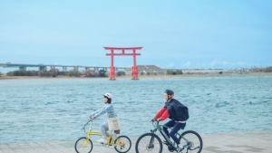New Cycling, Tea and Tasting Experiences Launch in Shizuoka