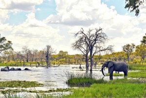 BOTSWANA, A PIONEER IN SUSTAINABLE TOURISM AND A REFERENCE IN AFRICA