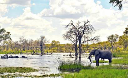 BOTSWANA, A PIONEER IN SUSTAINABLE TOURISM AND A REFERENCE IN AFRICA