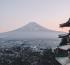 Travel sector calls for Japan to reduce restrictions to boost tourism
