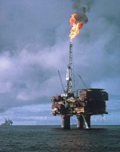 Oil steadies on equity gains