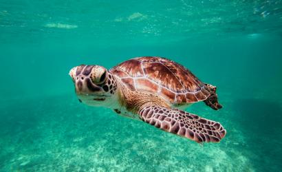 Cancún & Quintana Roo Like Never Before: VIP Experiences, Hidden Gems, and Exclusive Retreats