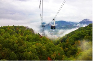 The Art of Planning the Perfect Nature Getaway