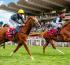 Qatar Tourism provides a truly glorious race week at Qatar Goodwood Festival in Sussex