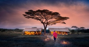 Serengeti National Park, the Reigning Champion of Africa’s Wilderness!