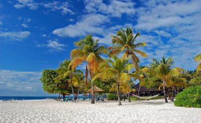 St. Vincent and the Grenadines: A Rising Star in Caribbean Tourism
