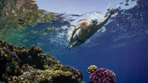 SwimTrek Announces Partnership with the Lewis Pugh Foundation to Champion Ocean Conservation